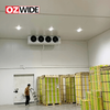 Customized Cold Storage For Fresh-keeping Of Vegetables And Fruits