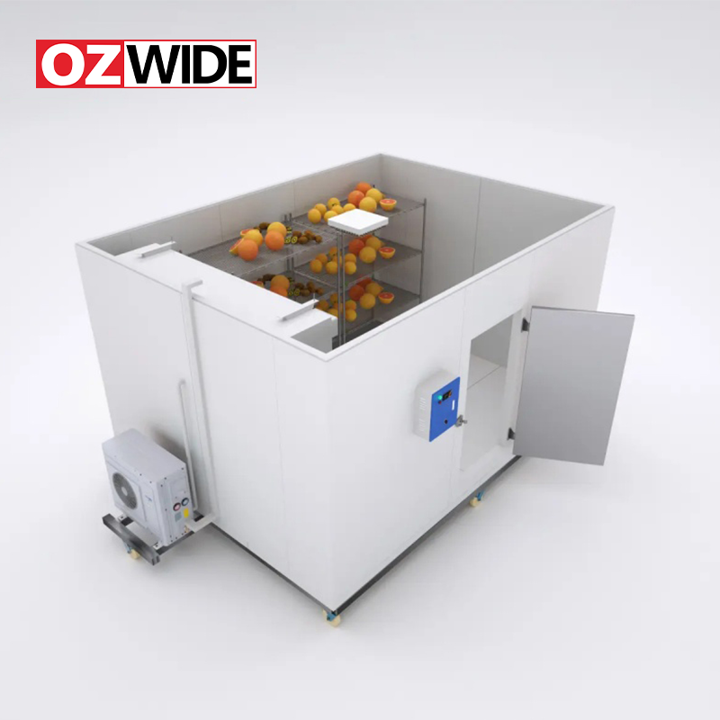 Reefer Container and Cold Storage